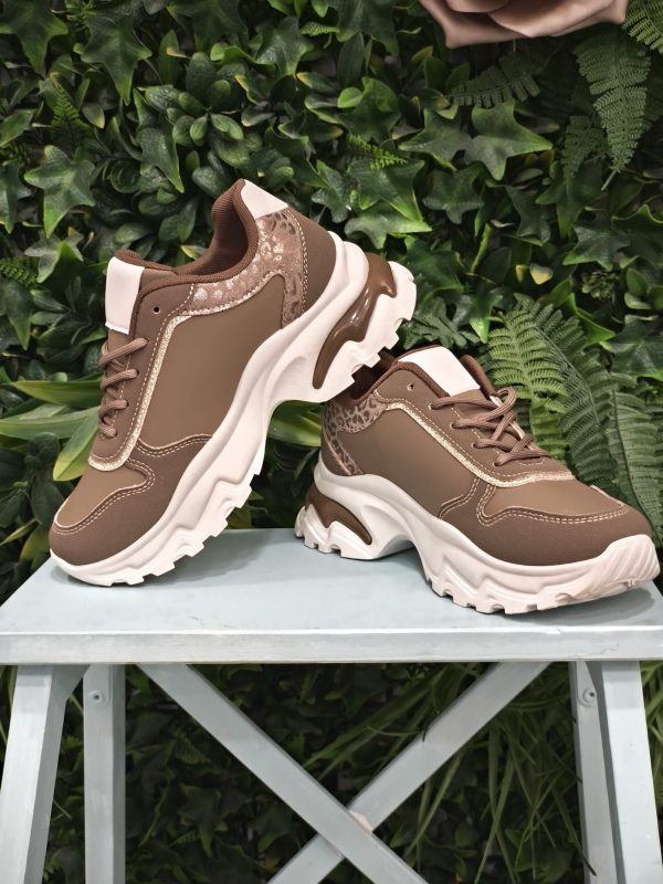 Deportes Brown - Imagen 2