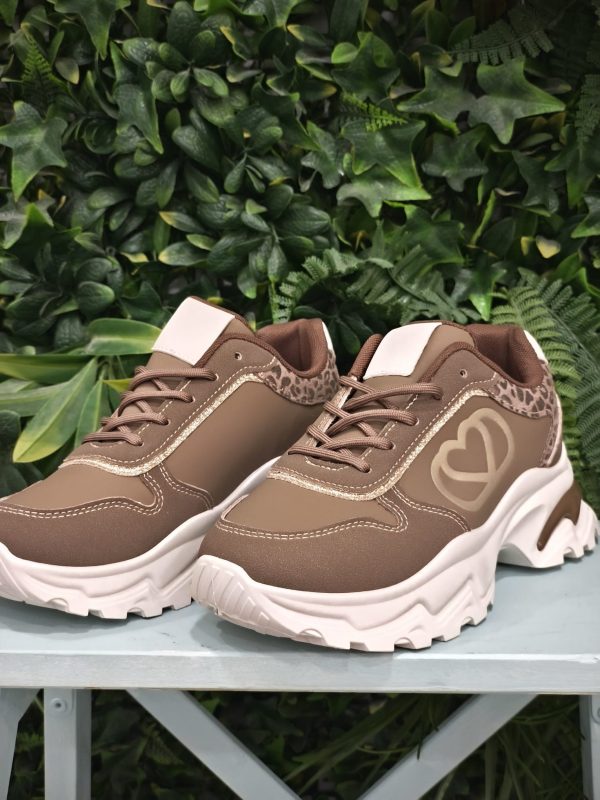 Deportes Brown - Imagen 3